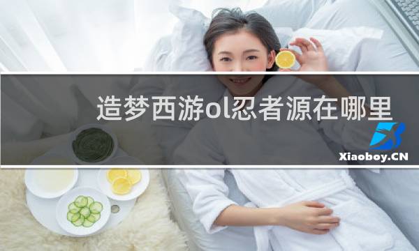造梦西游ol忍者源在哪里