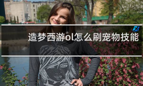 造梦西游ol怎么刷宠物技能