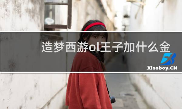 造梦西游ol王子加什么金