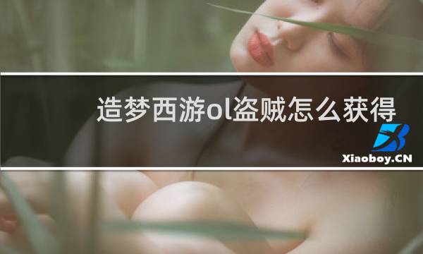造梦西游ol盗贼怎么获得