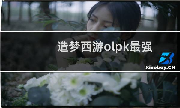 造梦西游olpk最强