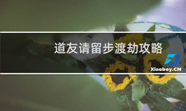 道友请留步渡劫攻略