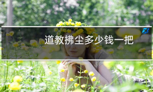 道教拂尘多少钱一把