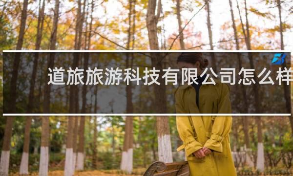 道旅旅游科技有限公司怎么样