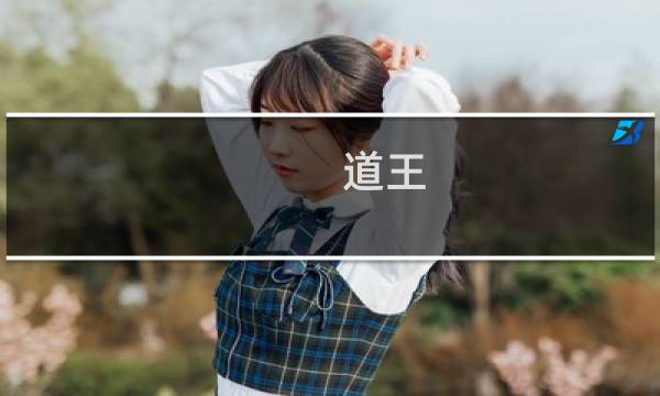 道王 攻略
