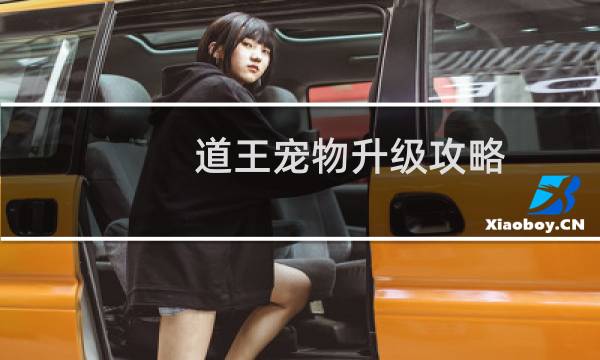 道王宠物升级攻略