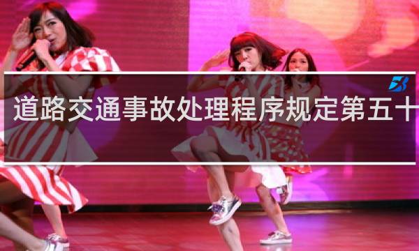 道路交通事故处理程序规定第五十三条