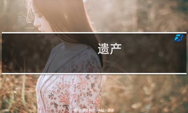 遗产 诅咒 攻略