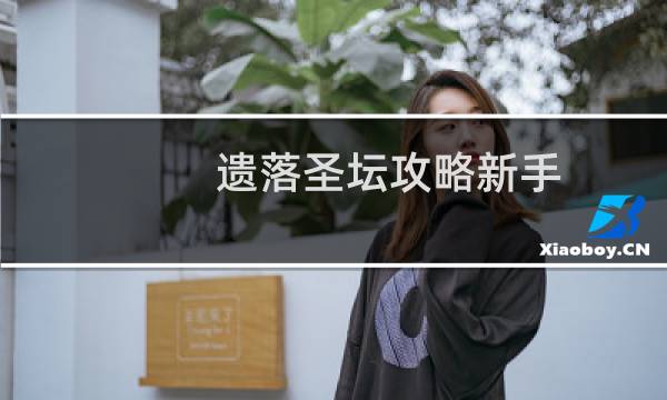 遗落圣坛攻略新手
