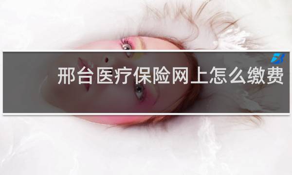 邢台医疗保险网上怎么缴费