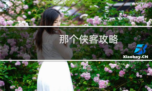 那个侠客攻略