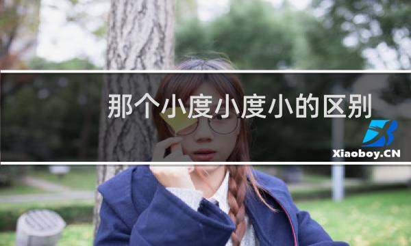 那个小度小度小的区别
