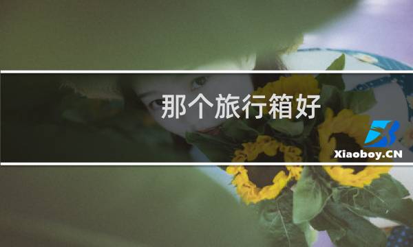 那个旅行箱好