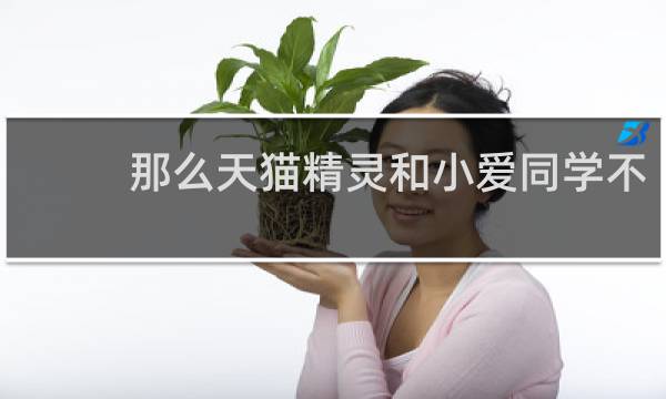 那么天猫精灵和小爱同学不