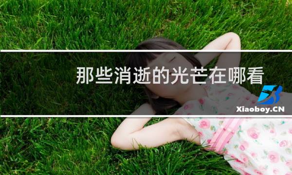 那些消逝的光芒在哪看