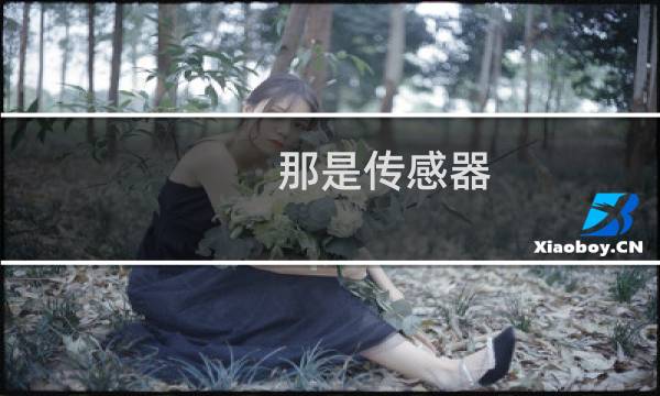 那是传感器