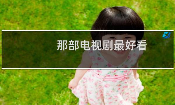 那部电视剧最好看