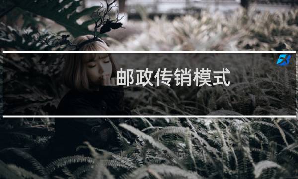 邮政传销模式