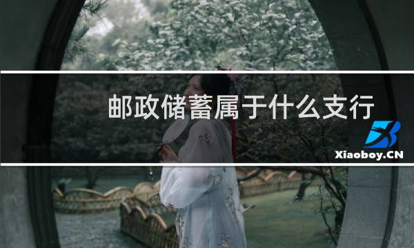 邮政储蓄属于什么支行