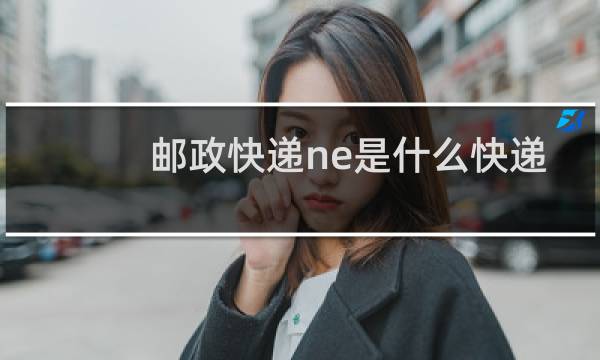 邮政快递ne是什么快递