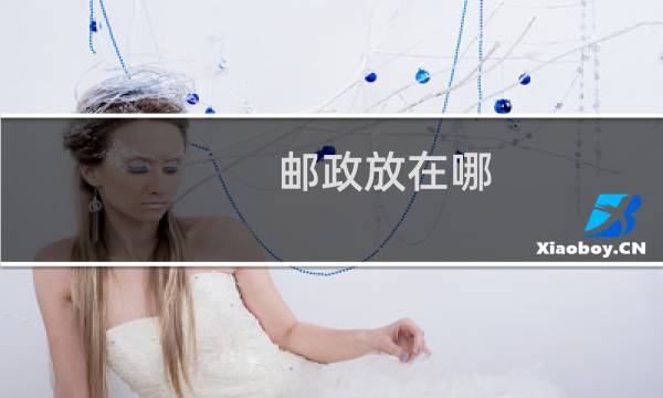 邮政放在哪