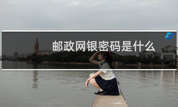 邮政网银密码是什么