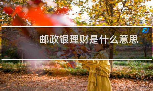 邮政银理财是什么意思