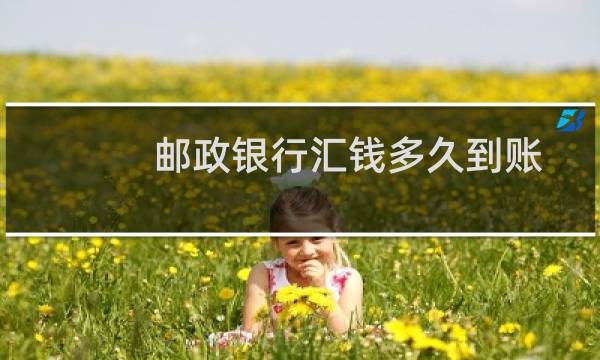 邮政银行汇钱多久到账