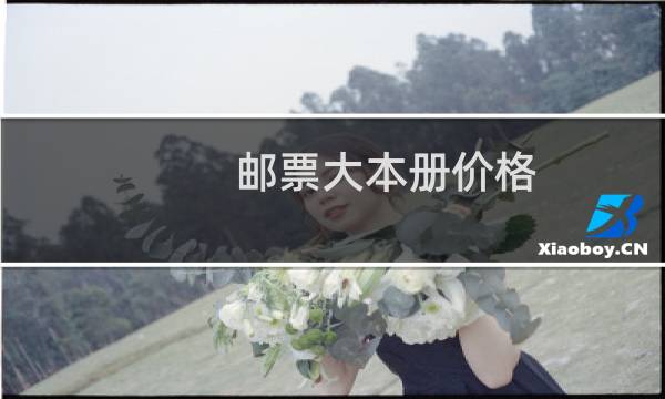 邮票大本册价格
