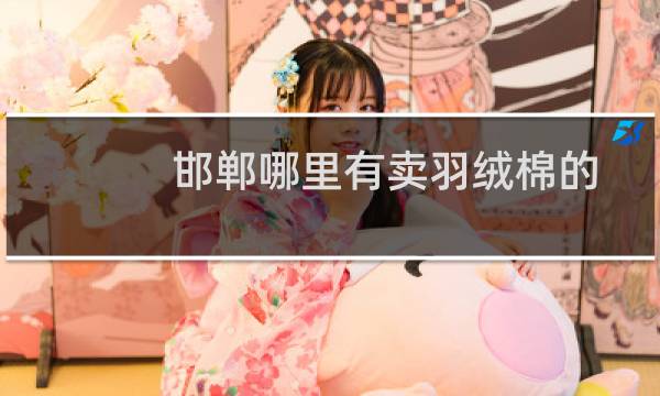 邯郸哪里有卖羽绒棉的