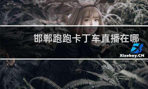 邯郸跑跑卡丁车直播在哪