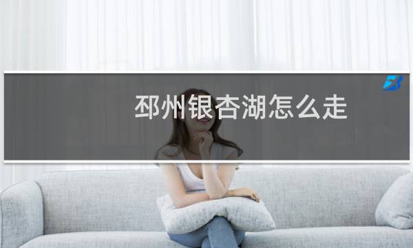 邳州银杏湖怎么走