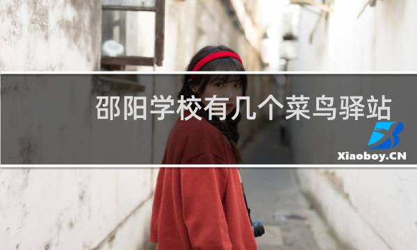 邵阳学校有几个菜鸟驿站