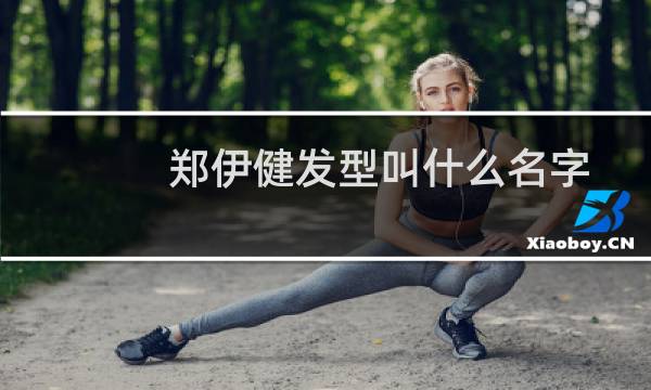 郑伊健发型叫什么名字