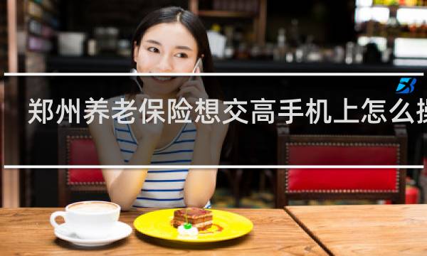 郑州养老保险想交高手机上怎么操作