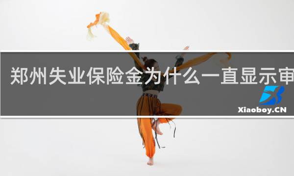 郑州失业保险金为什么一直显示审核中