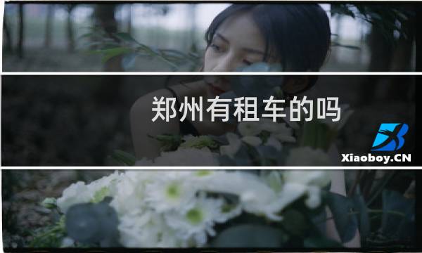 郑州有租车的吗