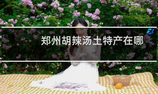 郑州胡辣汤土特产在哪