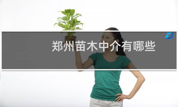 郑州苗木中介有哪些