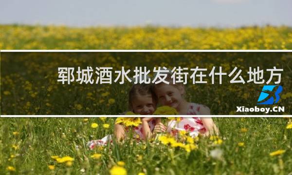 郓城酒水批发街在什么地方