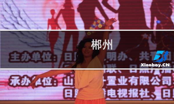 郴州 粤港澳大湾区