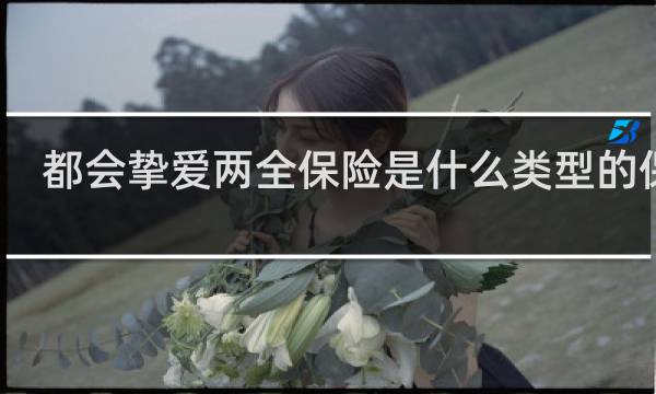 都会挚爱两全保险是什么类型的保险