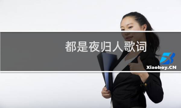 都是夜归人歌词