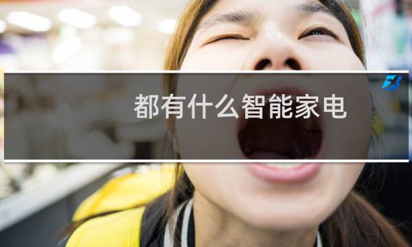 都有什么智能家电