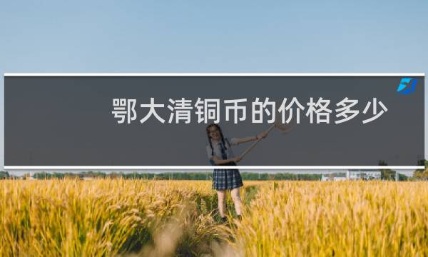 鄂大清铜币的价格多少