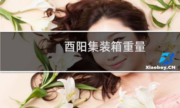 酉阳集装箱重量