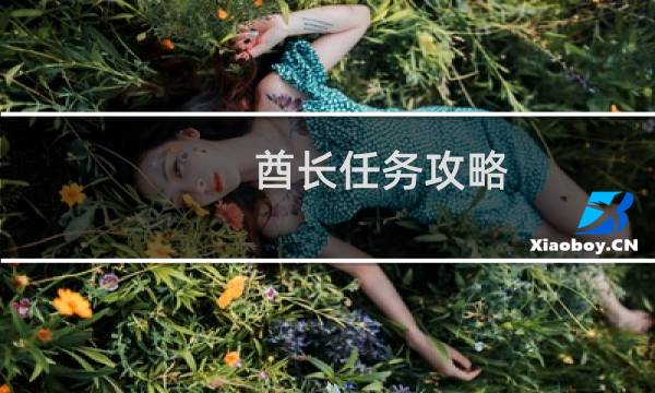 酋长任务攻略