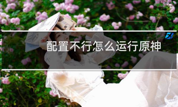 配置不行怎么运行原神