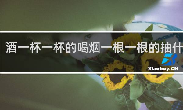 酒一杯一杯的喝烟一根一根的抽什么歌