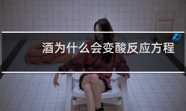 酒为什么会变酸反应方程